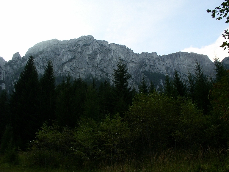 Zum Beenden Bild anklicken