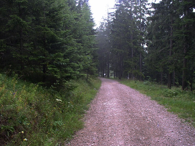 Zum Beenden Bild anklicken